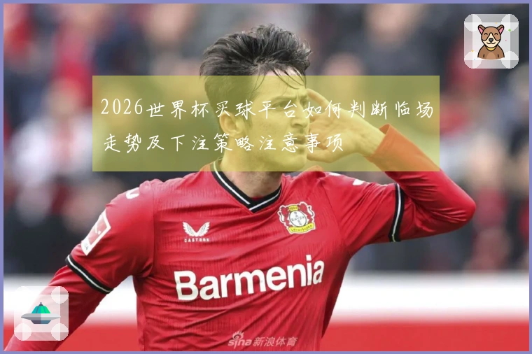 2026世界杯买球平台如何判断临场走势及下注策略注意事项