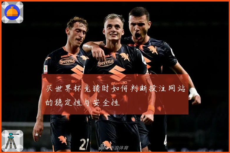 买世界杯竞猜时如何判断投注网站的稳定性与安全性