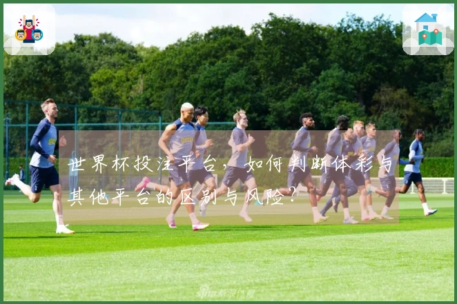 世界杯投注平台，如何判断体彩与其他平台的区别与风险？