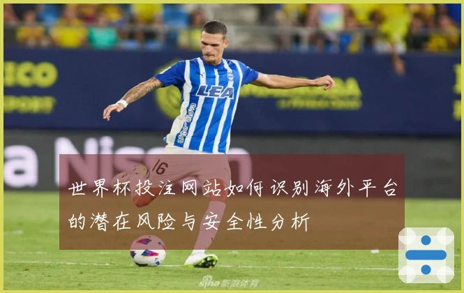 世界杯投注网站如何识别海外平台的潜在风险与安全性分析