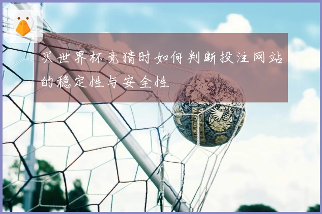 买世界杯竞猜时如何判断投注网站的稳定性与安全性