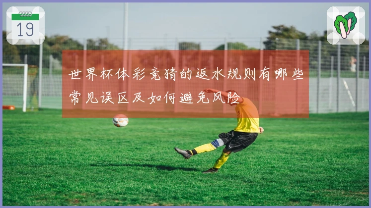 世界杯体彩竞猜的返水规则有哪些常见误区及如何避免风险