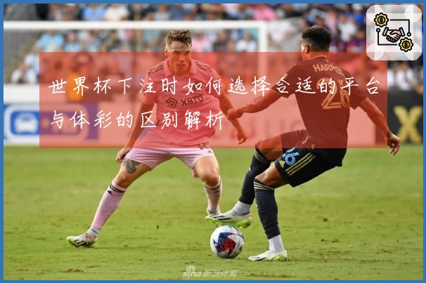 世界杯下注时如何选择合适的平台与体彩的区别解析