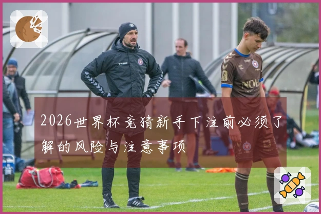 2026世界杯竞猜新手下注前必须了解的风险与注意事项